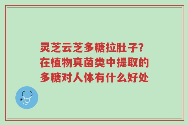 灵芝云芝多糖拉肚子?在植物真菌类中提取的多糖对人体有什么好处-第1张图片-超越 灵芝云芝多糖拉肚子?在植物真菌类中提取的多糖对人体有什么好处-第1张图片-超越