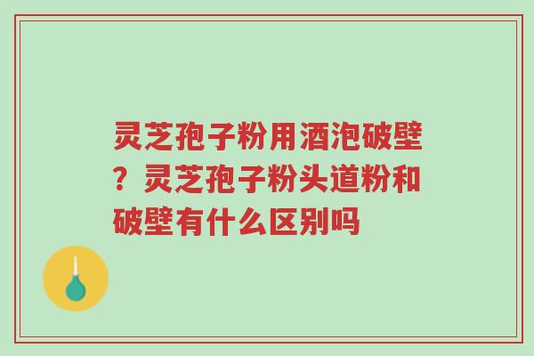 灵芝孢子粉用酒泡破壁？灵芝孢子粉头道粉和破壁有什么区别吗-第1张图片-超越