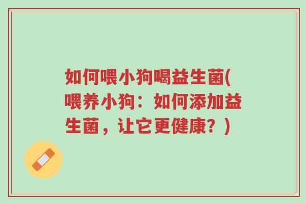 如何喂小狗喝益生菌(喂养小狗:如何添加益生菌,让它更健康?)-第1张图片-超越 如何喂小狗喝益生菌(喂养小狗:如何添加益生菌,让它更健康?)-第1张图片-超越