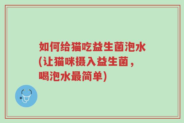 如何给猫吃益生菌泡水(让猫咪摄入益生菌,喝泡水最简单)-第1张图片-超越 如何给猫吃益生菌泡水(让猫咪摄入益生菌,喝泡水最简单)-第1张图片-超越
