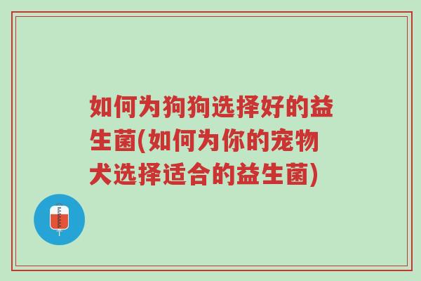 如何为狗狗选择好的益生菌(如何为你的宠物犬选择适合的益生菌)-第1张图片-超越 如何为狗狗选择好的益生菌(如何为你的宠物犬选择适合的益生菌)-第1张图片-超越