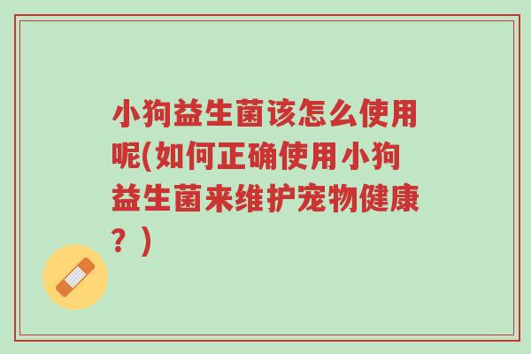 小狗益生菌该怎么使用呢(如何正确使用小狗益生菌来维护宠物健康?)-第1张图片-超越 小狗益生菌该怎么使用呢(如何正确使用小狗益生菌来维护宠物健康?)-第1张图片-超越