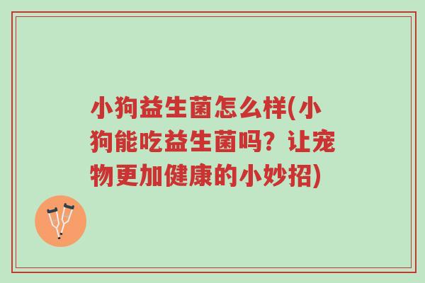 小狗益生菌怎么样(小狗能吃益生菌吗?让宠物更加健康的小妙招)-第1张图片-超越 小狗益生菌怎么样(小狗能吃益生菌吗?让宠物更加健康的小妙招)-第1张图片-超越