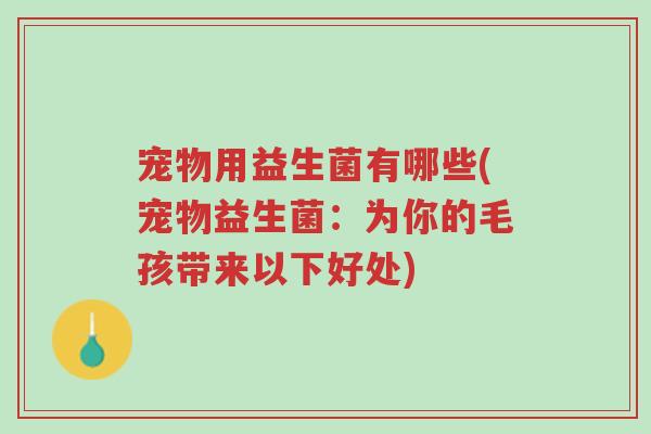 宠物用益生菌有哪些(宠物益生菌:为你的毛孩带来以下好处)-第1张图片-超越 宠物用益生菌有哪些(宠物益生菌:为你的毛孩带来以下好处)-第1张图片-超越