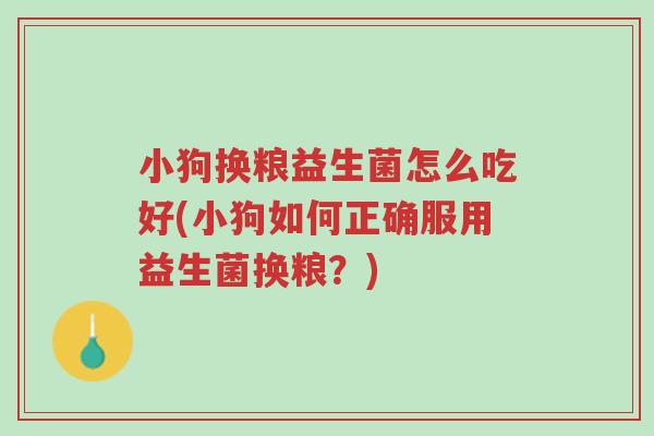 小狗换粮益生菌怎么吃好(小狗如何正确服用益生菌换粮?)-第1张图片-超越 小狗换粮益生菌怎么吃好(小狗如何正确服用益生菌换粮?)-第1张图片-超越