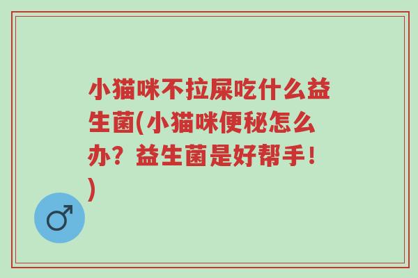 小猫咪不拉屎吃什么益生菌(小猫咪便秘怎么办?益生菌是好帮手!)-第1张图片-超越 小猫咪不拉屎吃什么益生菌(小猫咪便秘怎么办?益生菌是好帮手!)-第1张图片-超越