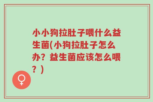 小小狗拉肚子喂什么益生菌(小狗拉肚子怎么办?益生菌应该怎么喂?)-第1张图片-超越 小小狗拉肚子喂什么益生菌(小狗拉肚子怎么办?益生菌应该怎么喂?)-第1张图片-超越