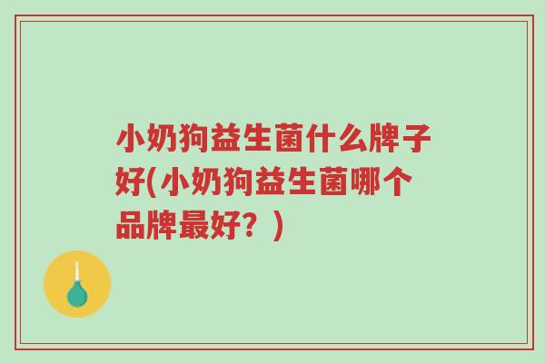 小奶狗益生菌什么牌子好(小奶狗益生菌哪个品牌最好？)-第1张图片-超越