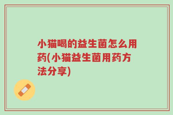 小猫喝的益生菌怎么用药(小猫益生菌用药方法分享)-第1张图片-超越 小猫喝的益生菌怎么用药(小猫益生菌用药方法分享)-第1张图片-超越
