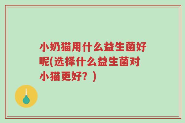 小奶猫用什么益生菌好呢(选择什么益生菌对小猫更好?)-第1张图片-超越 小奶猫用什么益生菌好呢(选择什么益生菌对小猫更好?)-第1张图片-超越