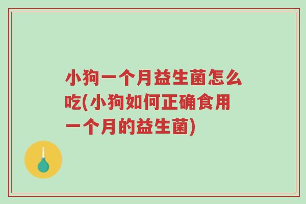 小狗一个月益生菌怎么吃(小狗如何正确食用一个月的益生菌)-第1张图片-超越
