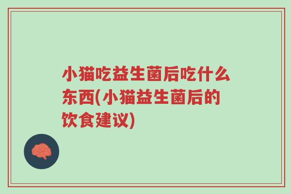 小猫吃益生菌后吃什么东西(小猫益生菌后的饮食建议)-第1张图片-超越 小猫吃益生菌后吃什么东西(小猫益生菌后的饮食建议)-第1张图片-超越