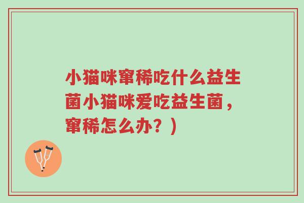 小猫咪窜稀吃什么益生菌小猫咪爱吃益生菌,窜稀怎么办?)-第1张图片-超越 小猫咪窜稀吃什么益生菌小猫咪爱吃益生菌,窜稀怎么办?)-第1张图片-超越