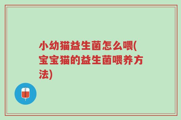 小幼猫益生菌怎么喂(宝宝猫的益生菌喂养方法)-第1张图片-超越 小幼猫益生菌怎么喂(宝宝猫的益生菌喂养方法)-第1张图片-超越