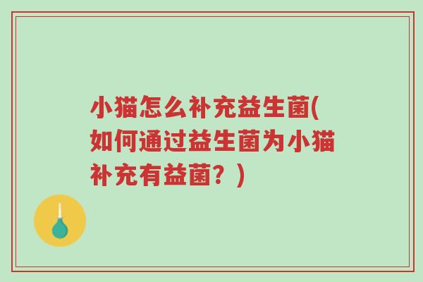 小猫怎么补充益生菌(如何通过益生菌为小猫补充有益菌?)-第1张图片-超越 小猫怎么补充益生菌(如何通过益生菌为小猫补充有益菌?)-第1张图片-超越