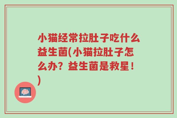 小猫经常拉肚子吃什么益生菌(小猫拉肚子怎么办?益生菌是救星!)-第1张图片-超越 小猫经常拉肚子吃什么益生菌(小猫拉肚子怎么办?益生菌是救星!)-第1张图片-超越