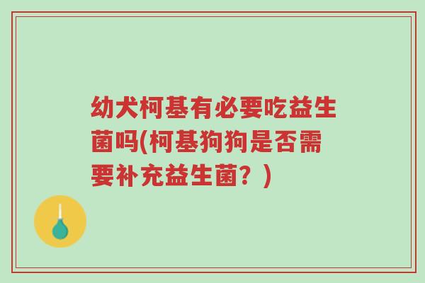 幼犬柯基有必要吃益生菌吗(柯基狗狗是否需要补充益生菌?)-第1张图片-超越 幼犬柯基有必要吃益生菌吗(柯基狗狗是否需要补充益生菌?)-第1张图片-超越
