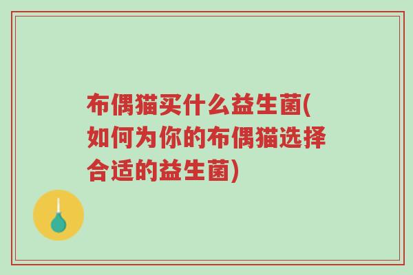 布偶猫买什么益生菌(如何为你的布偶猫选择合适的益生菌)-第1张图片-超越 布偶猫买什么益生菌(如何为你的布偶猫选择合适的益生菌)-第1张图片-超越