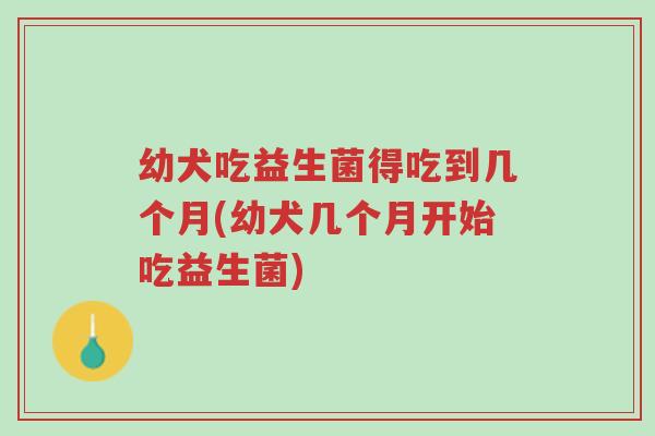 幼犬吃益生菌得吃到几个月(幼犬几个月开始吃益生菌)-第1张图片-超越 幼犬吃益生菌得吃到几个月(幼犬几个月开始吃益生菌)-第1张图片-超越