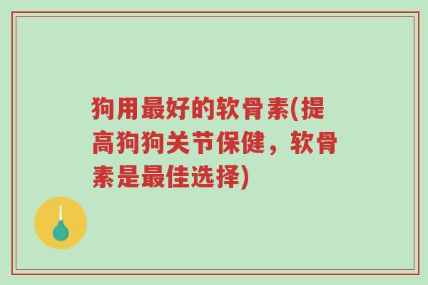狗用最好的软骨素(提高狗狗关节保健，软骨素是最佳选择)-第1张图片-超越