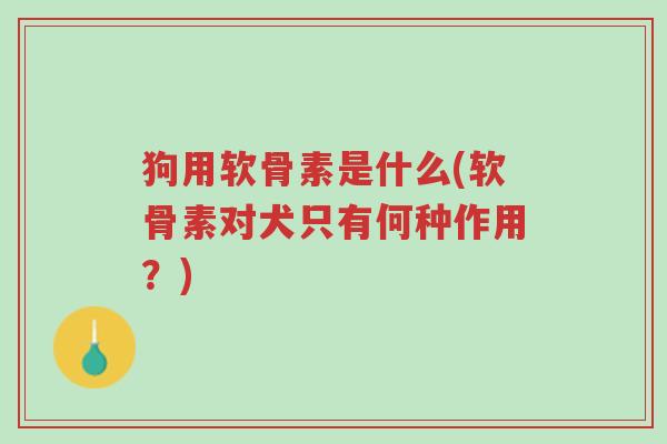 狗用软骨素是什么(软骨素对犬只有何种作用?)-第1张图片-超越 狗用软骨素是什么(软骨素对犬只有何种作用?)-第1张图片-超越