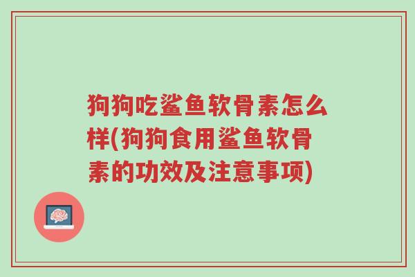 狗狗吃鲨鱼软骨素怎么样(狗狗食用鲨鱼软骨素的功效及注意事项)-第1张图片-超越 狗狗吃鲨鱼软骨素怎么样(狗狗食用鲨鱼软骨素的功效及注意事项)-第1张图片-超越
