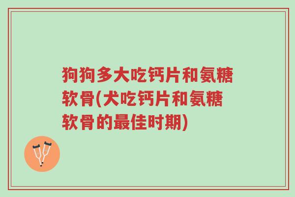 狗狗多大吃钙片和氨糖软骨(犬吃钙片和氨糖软骨的最佳时期)-第1张图片-超越 狗狗多大吃钙片和氨糖软骨(犬吃钙片和氨糖软骨的最佳时期)-第1张图片-超越