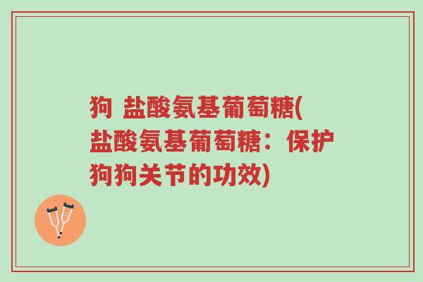 狗 盐酸氨基葡萄糖(盐酸氨基葡萄糖:保护狗狗关节的功效)-第1张图片-超越 狗 盐酸氨基葡萄糖(盐酸氨基葡萄糖:保护狗狗关节的功效)-第1张图片-超越