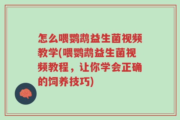 怎么喂鹦鹉益生菌视频教学(喂鹦鹉益生菌视频教程,让你学会正确的饲养技巧)-第1张图片-超越 怎么喂鹦鹉益生菌视频教学(喂鹦鹉益生菌视频教程,让你学会正确的饲养技巧)-第1张图片-超越