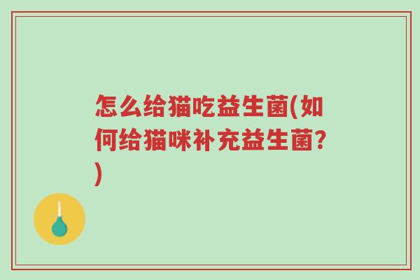 怎么给猫吃益生菌(如何给猫咪补充益生菌?)-第1张图片-超越 怎么给猫吃益生菌(如何给猫咪补充益生菌?)-第1张图片-超越