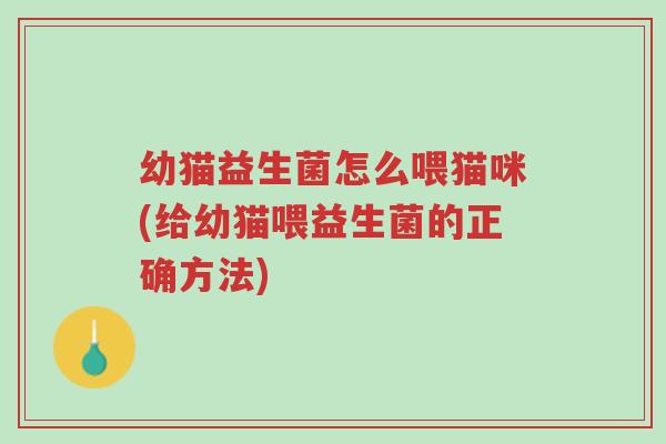 幼猫益生菌怎么喂猫咪(给幼猫喂益生菌的正确方法)-第1张图片-超越 幼猫益生菌怎么喂猫咪(给幼猫喂益生菌的正确方法)-第1张图片-超越