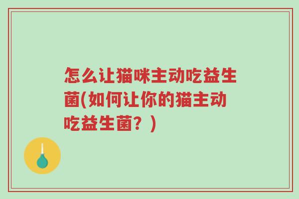 怎么让猫咪主动吃益生菌(如何让你的猫主动吃益生菌?)-第1张图片-超越 怎么让猫咪主动吃益生菌(如何让你的猫主动吃益生菌?)-第1张图片-超越