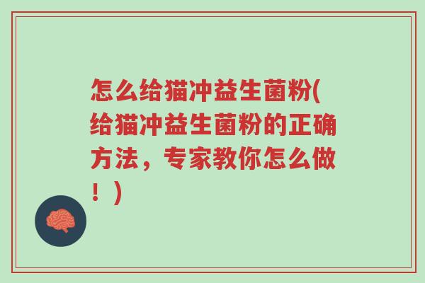怎么给猫冲益生菌粉(给猫冲益生菌粉的正确方法,专家教你怎么做!)-第1张图片-超越 怎么给猫冲益生菌粉(给猫冲益生菌粉的正确方法,专家教你怎么做!)-第1张图片-超越
