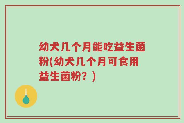 幼犬几个月能吃益生菌粉(幼犬几个月可食用益生菌粉?)-第1张图片-超越 幼犬几个月能吃益生菌粉(幼犬几个月可食用益生菌粉?)-第1张图片-超越