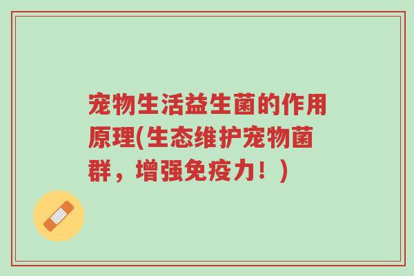 宠物生活益生菌的作用原理(生态维护宠物菌群,增强免疫力!)-第1张图片-超越 宠物生活益生菌的作用原理(生态维护宠物菌群,增强免疫力!)-第1张图片-超越