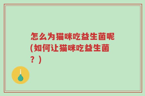 怎么为猫咪吃益生菌呢(如何让猫咪吃益生菌?)-第1张图片-超越 怎么为猫咪吃益生菌呢(如何让猫咪吃益生菌?)-第1张图片-超越