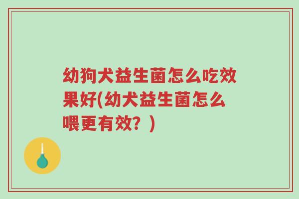 幼狗犬益生菌怎么吃效果好(幼犬益生菌怎么喂更有效?)-第1张图片-超越 幼狗犬益生菌怎么吃效果好(幼犬益生菌怎么喂更有效?)-第1张图片-超越