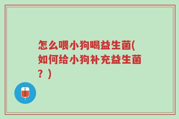 怎么喂小狗喝益生菌(如何给小狗补充益生菌？)-第1张图片-超越