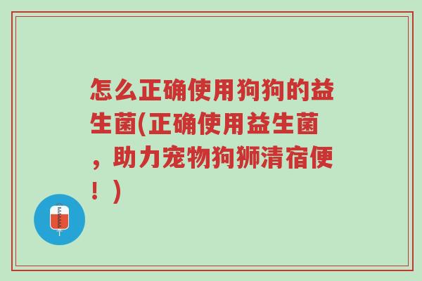 怎么正确使用狗狗的益生菌(正确使用益生菌,助力宠物狗狮清宿便!)-第1张图片-超越 怎么正确使用狗狗的益生菌(正确使用益生菌,助力宠物狗狮清宿便!)-第1张图片-超越