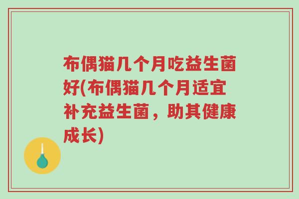 布偶猫几个月吃益生菌好(布偶猫几个月适宜补充益生菌,助其健康成长)-第1张图片-超越 布偶猫几个月吃益生菌好(布偶猫几个月适宜补充益生菌,助其健康成长)-第1张图片-超越