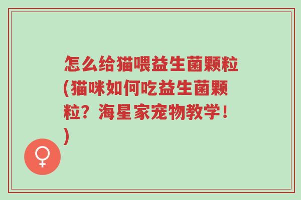怎么给猫喂益生菌颗粒(猫咪如何吃益生菌颗粒?海星家宠物教学!)-第1张图片-超越 怎么给猫喂益生菌颗粒(猫咪如何吃益生菌颗粒?海星家宠物教学!)-第1张图片-超越