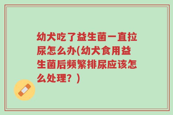 幼犬吃了益生菌一直拉尿怎么办(幼犬食用益生菌后频繁排尿应该怎么处理?)-第1张图片-超越 幼犬吃了益生菌一直拉尿怎么办(幼犬食用益生菌后频繁排尿应该怎么处理?)-第1张图片-超越