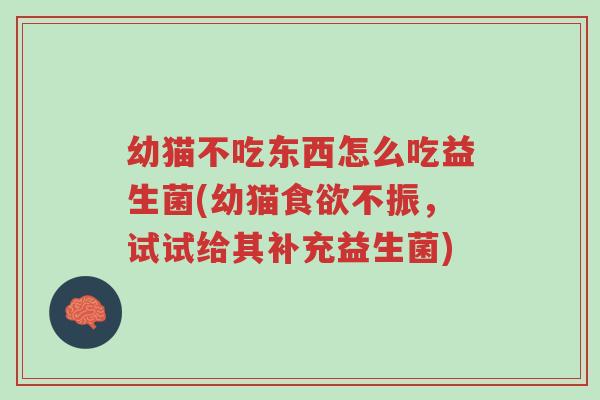 幼猫不吃东西怎么吃益生菌(幼猫食欲不振,试试给其补充益生菌)-第1张图片-超越 幼猫不吃东西怎么吃益生菌(幼猫食欲不振,试试给其补充益生菌)-第1张图片-超越