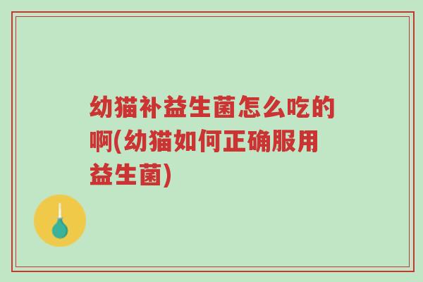 幼猫补益生菌怎么吃的啊(幼猫如何正确服用益生菌)-第1张图片-超越 幼猫补益生菌怎么吃的啊(幼猫如何正确服用益生菌)-第1张图片-超越