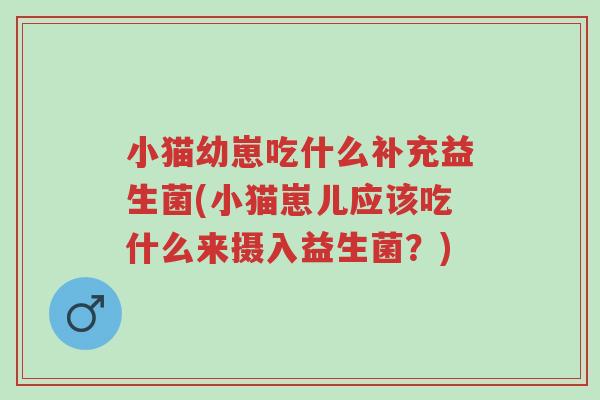 小猫幼崽吃什么补充益生菌(小猫崽儿应该吃什么来摄入益生菌？)-第1张图片-超越