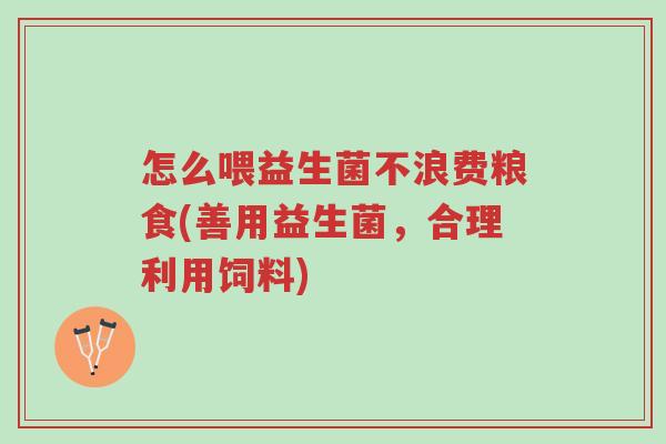 怎么喂益生菌不浪费粮食(善用益生菌,合理利用饲料)-第1张图片-超越 怎么喂益生菌不浪费粮食(善用益生菌,合理利用饲料)-第1张图片-超越