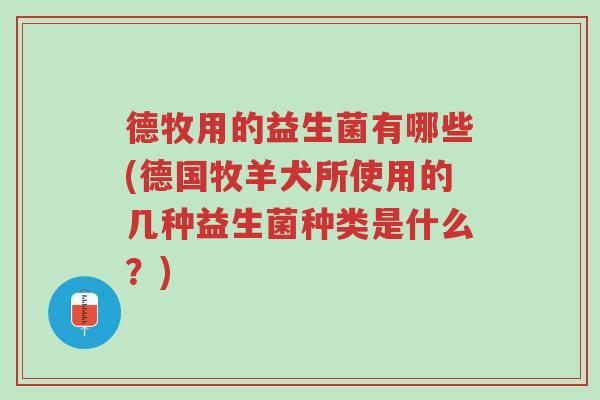 德牧用的益生菌有哪些(德国牧羊犬所使用的几种益生菌种类是什么?)-第1张图片-超越 德牧用的益生菌有哪些(德国牧羊犬所使用的几种益生菌种类是什么?)-第1张图片-超越