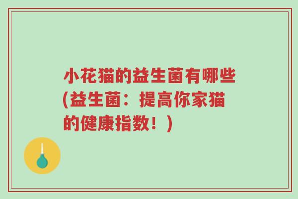小花猫的益生菌有哪些(益生菌：提高你家猫的健康指数！)-第1张图片-超越
