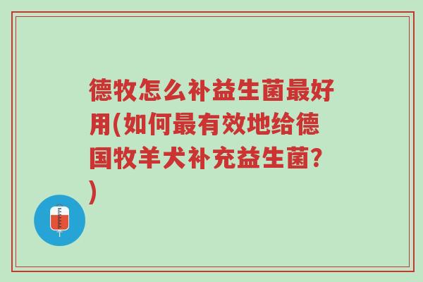 德牧怎么补益生菌最好用(如何最有效地给德国牧羊犬补充益生菌？)-第1张图片-超越