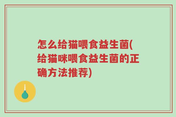 怎么给猫喂食益生菌(给猫咪喂食益生菌的正确方法推荐)-第1张图片-超越 怎么给猫喂食益生菌(给猫咪喂食益生菌的正确方法推荐)-第1张图片-超越